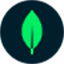 mongoDB logo
